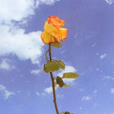 杨念群：清代政治史研究向何处去？——一个批判性的反思