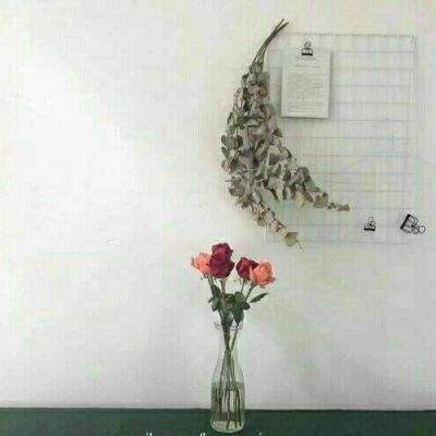 旋风少女手机游戏下载