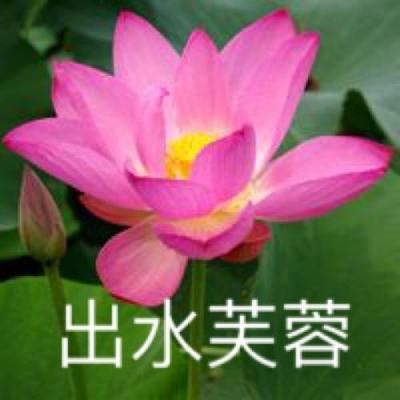 欢乐相约斗地主破解版最旧版下载